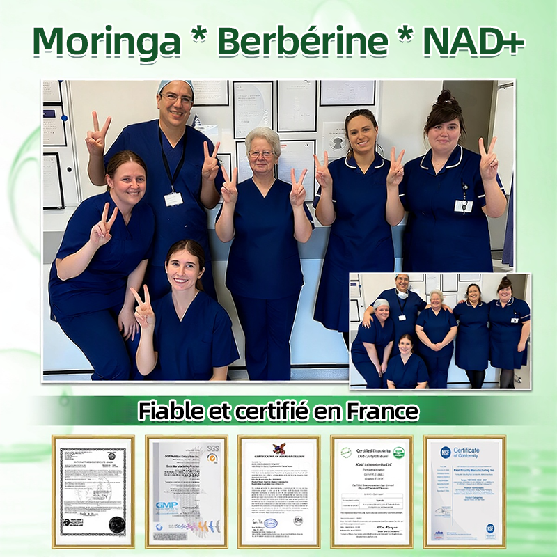 💫 Boutique Officielle de France | 🩺 Healrize® Moringa · Berbérine × NAD+ 12-en-1 Avancé Patch nano à micro-aiguilles — Application une fois par jour, résultats visibles 🎄