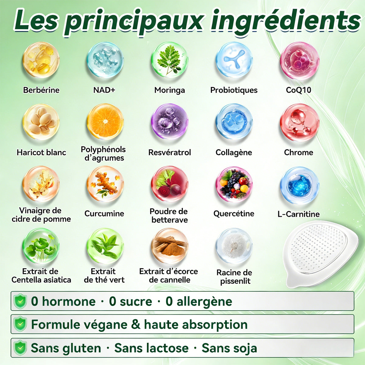 💫 Boutique Officielle de France | 🩺 Healrize® Moringa · Berbérine × NAD+ 12-en-1 Avancé Patch nano à micro-aiguilles — Application une fois par jour, résultats visibles 🎄